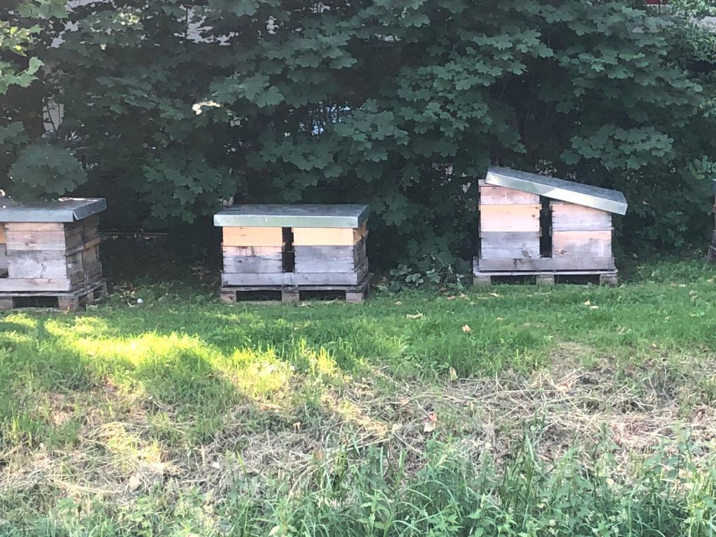 Wilhelmsburg’da sıradışı görüntüler