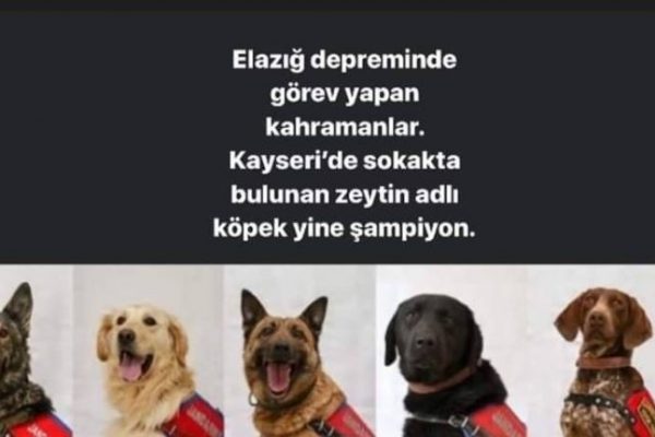 Taziye!