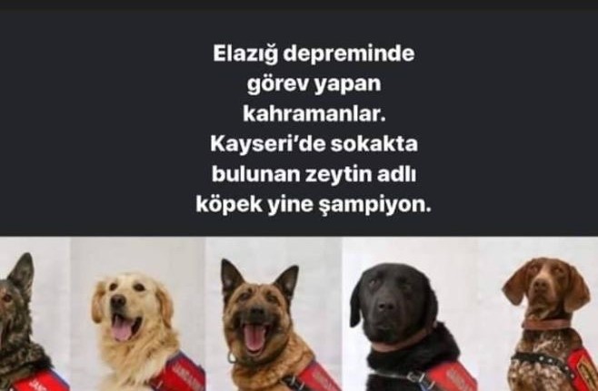 Taziye!