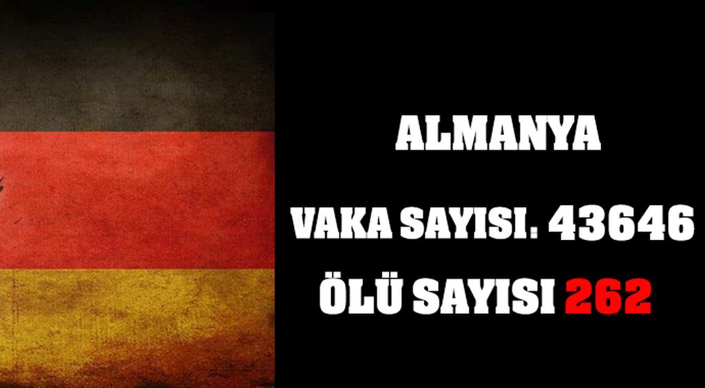 VAKA SAYISI 43646, ÖLÜ SAYISI 262