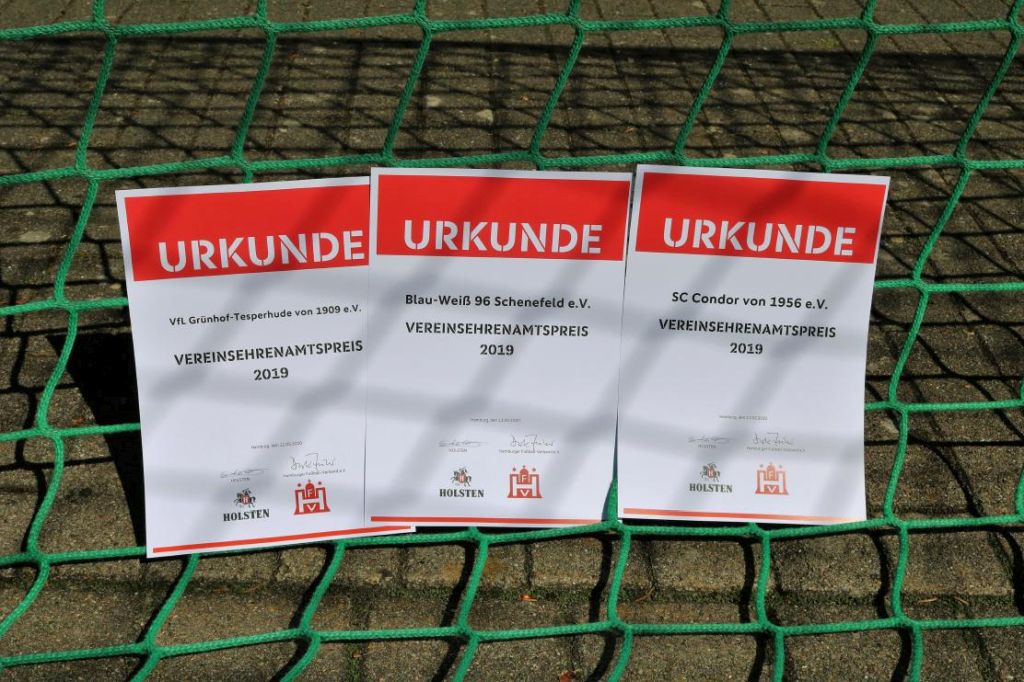 11. Vereins-Ehrenamtspreis