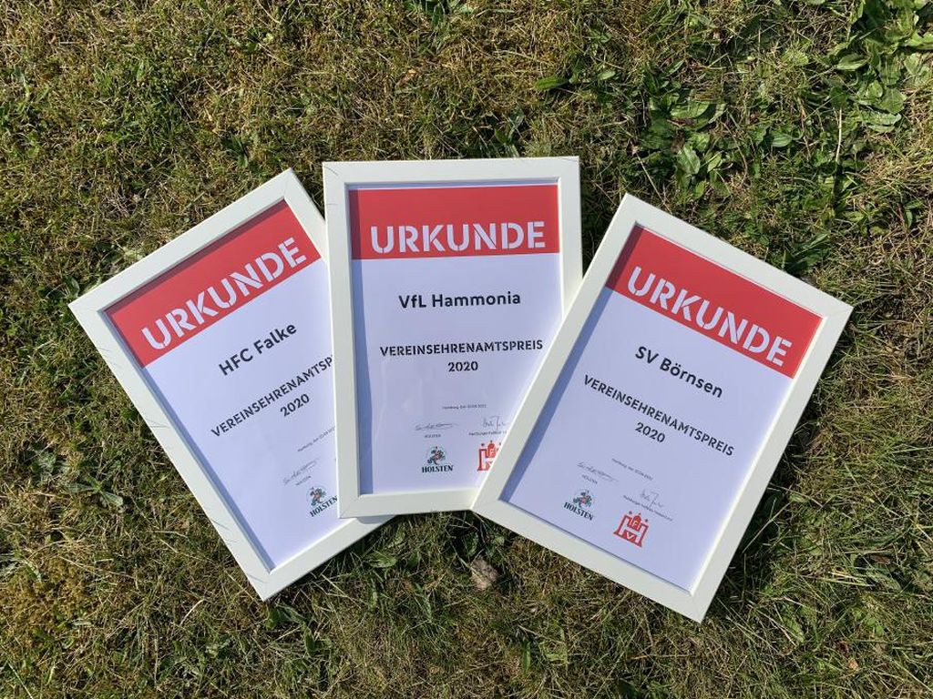 12. Vereins-Ehrenamtspreis – 15.000,- Euro für Vereine des HFV