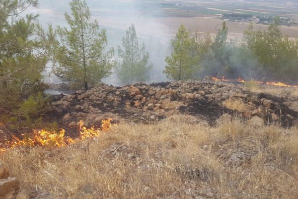 Gaziantep’te ormanlık alanda yıldırım düşmesi sonucu çıkan yangın söndürüldü