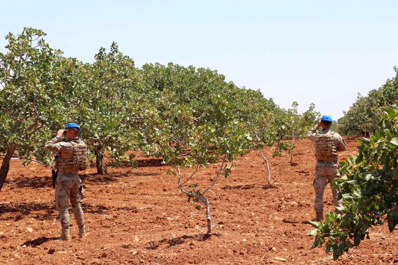 Gaziantep’te jandarma ekipleri Antep fıstığı nöbetinde