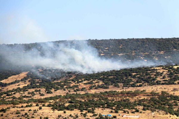 Kilis’te çıkan orman yangını söndürüldü